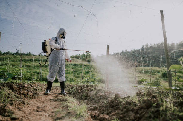 Best Affordable Pest Control Services  in West Concord, MA