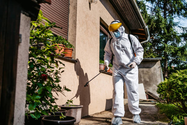 Best Bed Bug Extermination  in West Concord, MA