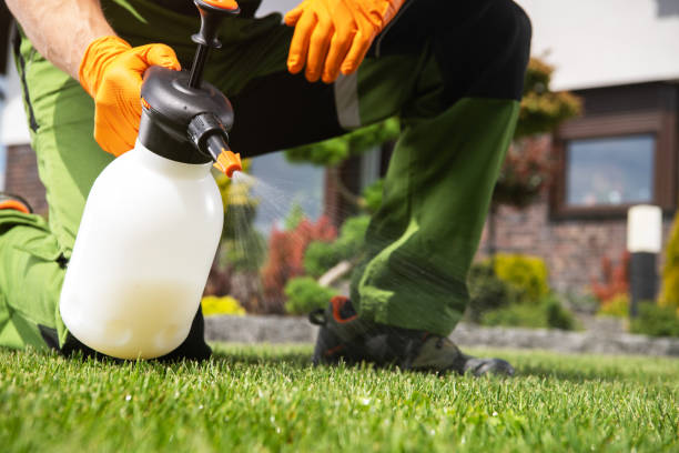 Best Emergency Pest Control  in West Concord, MA