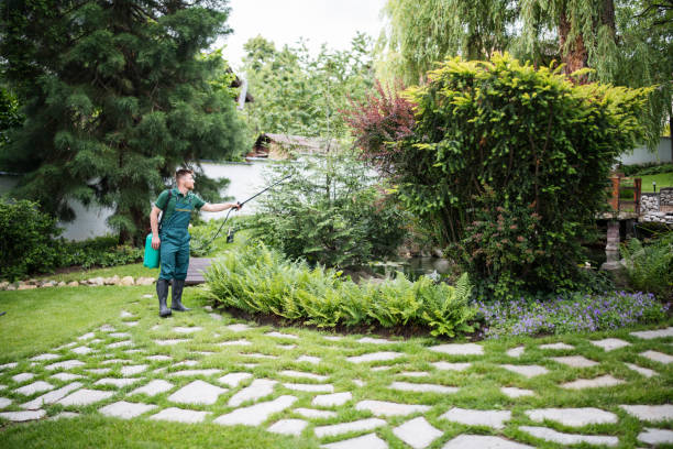 Professional Pest Control in West Concord, MA