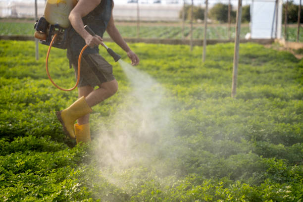 Best Pest Removal Services  in West Concord, MA