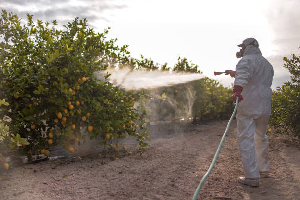 Insect Control in West Concord, MA