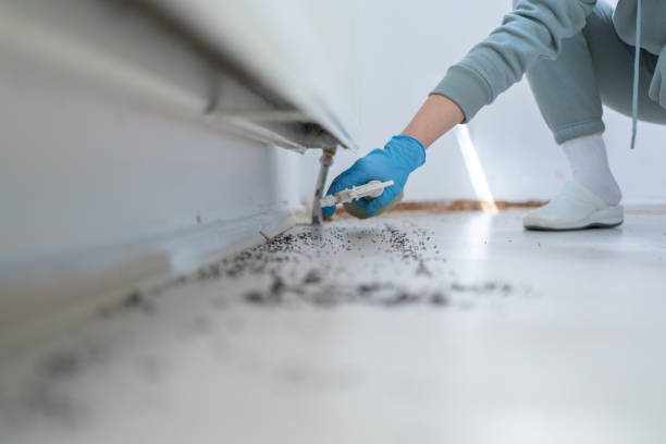 Best Pest Control Near Me  in West Concord, MA