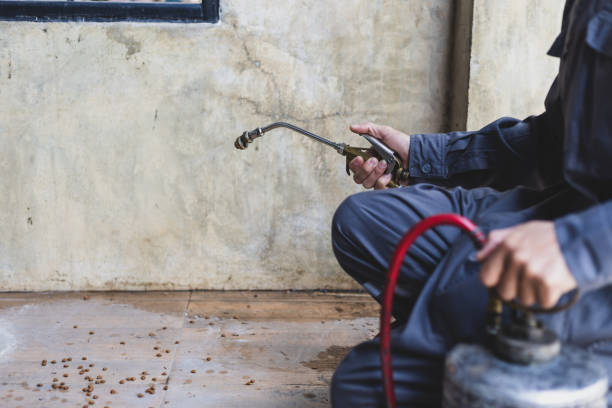 Best Best Pest Control Companies  in West Concord, MA